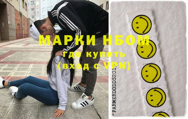 ГАЛЛЮЦИНОГЕННЫЕ ГРИБЫ Верея